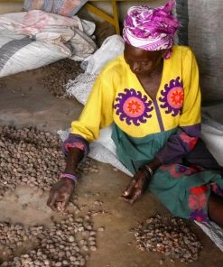 Mama Trade : Premium, Raw African Shea Butter